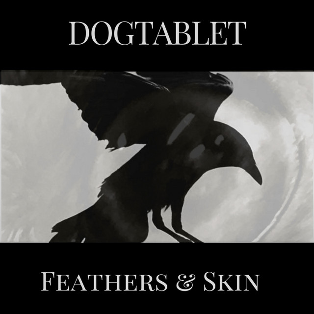 Feathers & Skin cover art