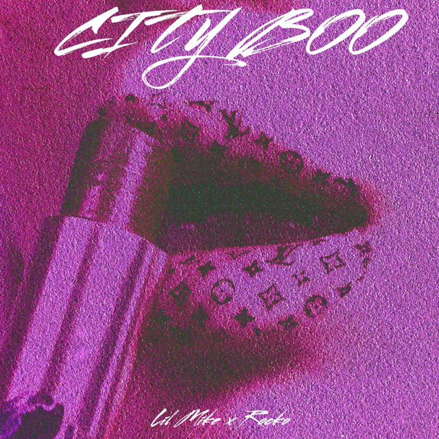 City Boo - Single by DreaminLilMike | Spotify