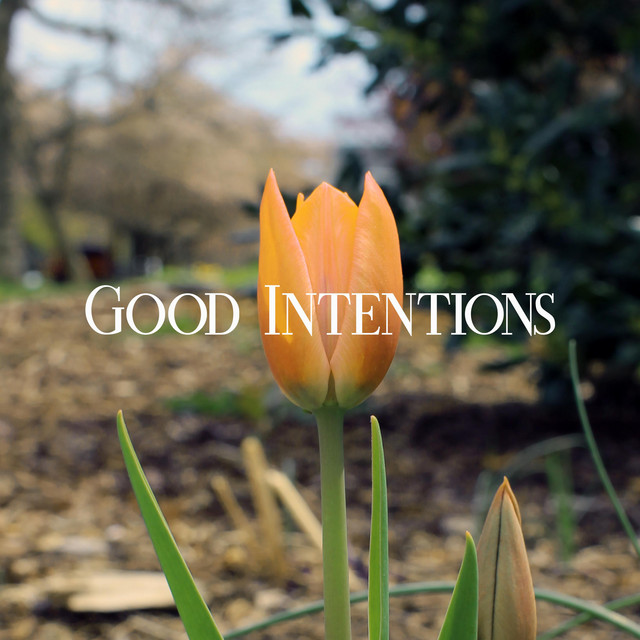Good Intentions cover