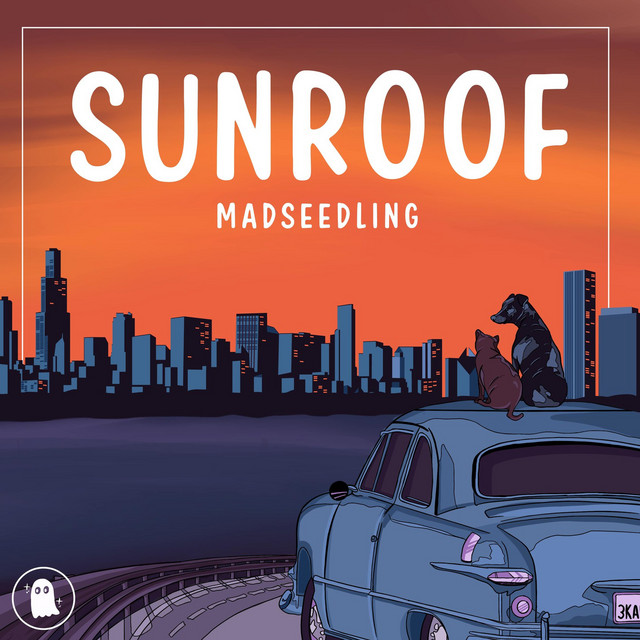 Sunroof cover