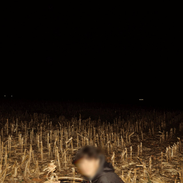 area cover art