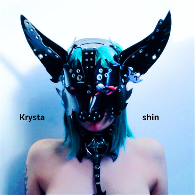 Shin cover art