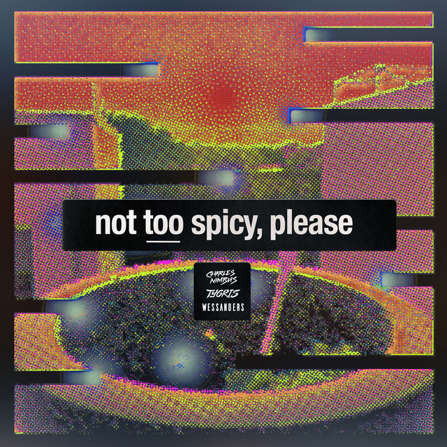 Not Too Spicy, Please cover