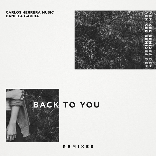 Back to You (Remix) [feat. Levi Whalen]