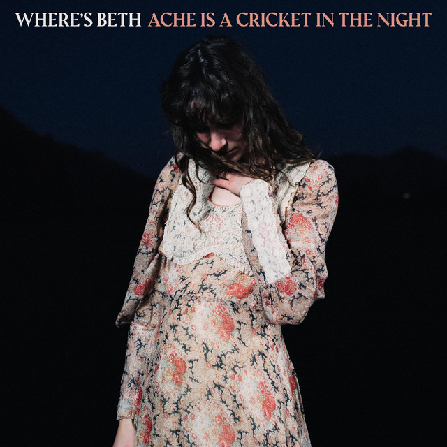 Ache Is A Cricket In The Night cover art