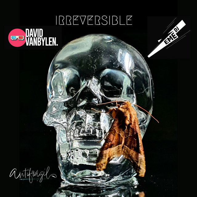 Irreversible - Eme Dj & David Van Bylen Remix