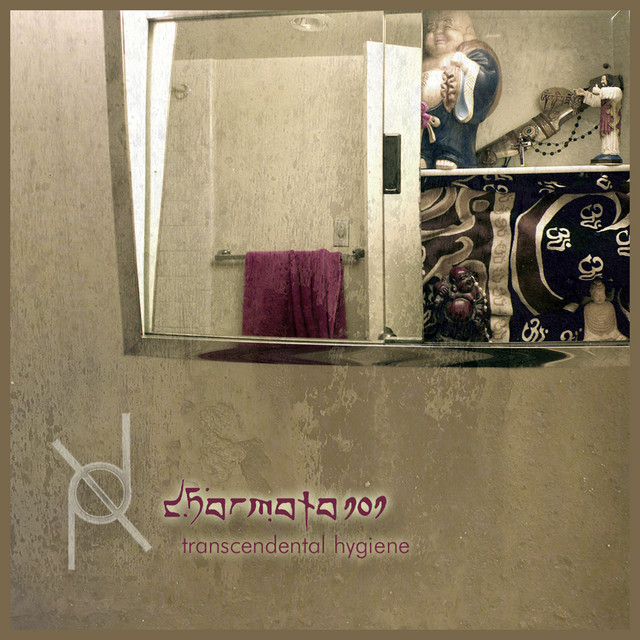 Transcendental Hygiene cover