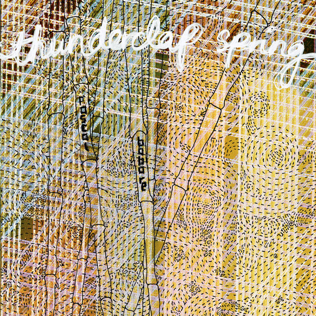 Ceremonies 洋楽 Division Joy No / More