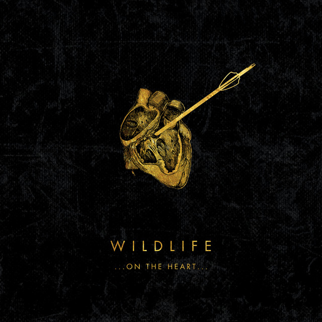 Bad Dream - Wildlife