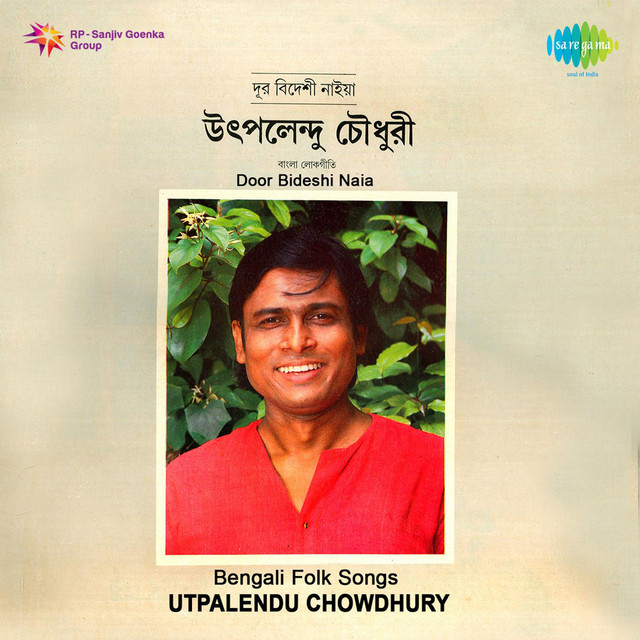 Door Bideshi Naia Utpalendu Chowdhury cover art