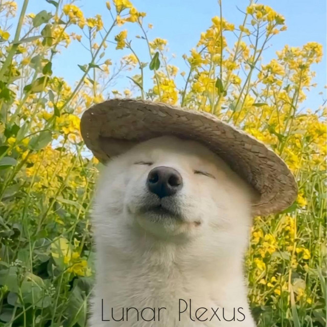 Обкладинка: Lunar Plexus — KillGard