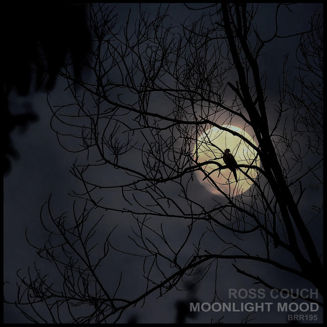 Moonlight Mood - Radio Edit