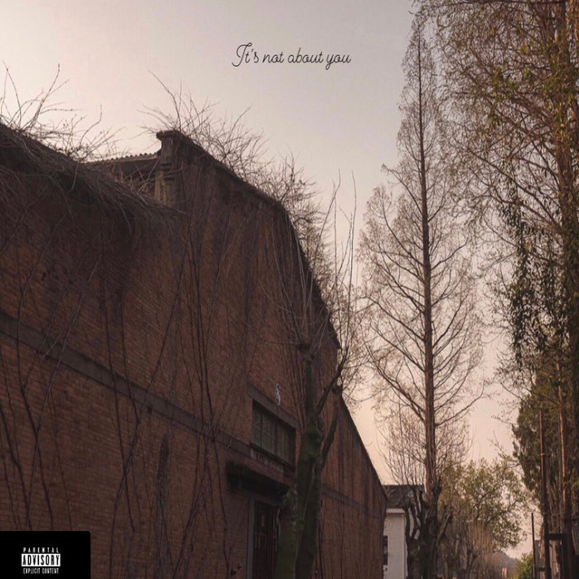 It's not about you cover art