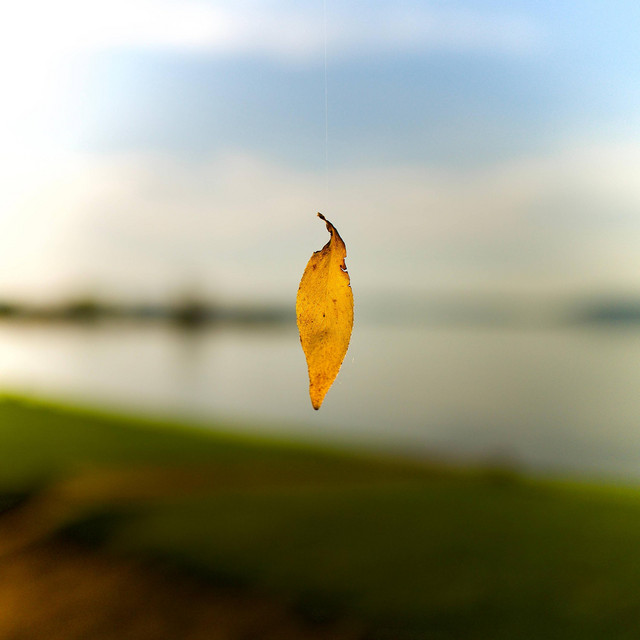 Suspended Summer cover art