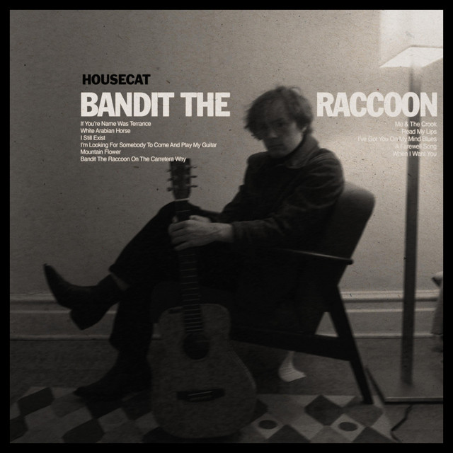 Bandit, The Raccoon cover art