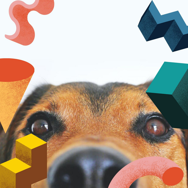 Backdrop for Happy Beagle - Friendly Soprano Sax Solo - Album by Music ...