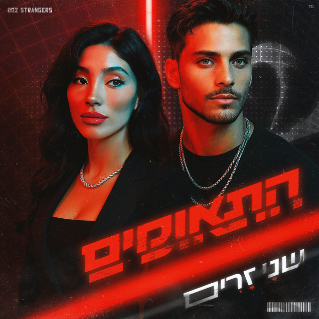 שני זרים cover art