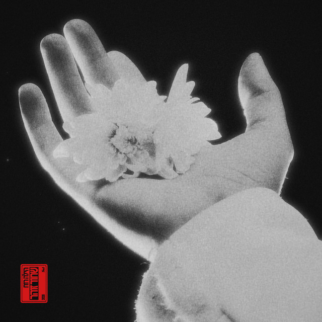 שחור זוהר cover art