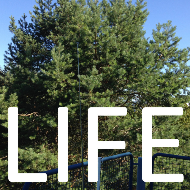 Life cover art