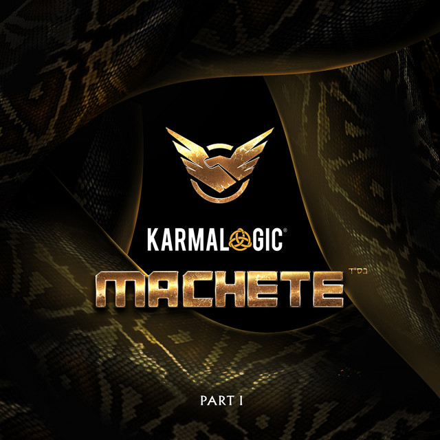 Karmalogic I cover art