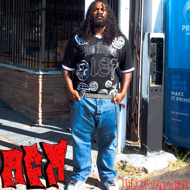 NFN (NIGGAS FROM NELA) cover art