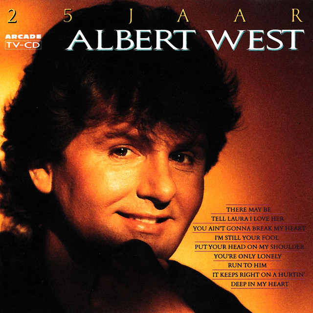 25 Jaar cover art