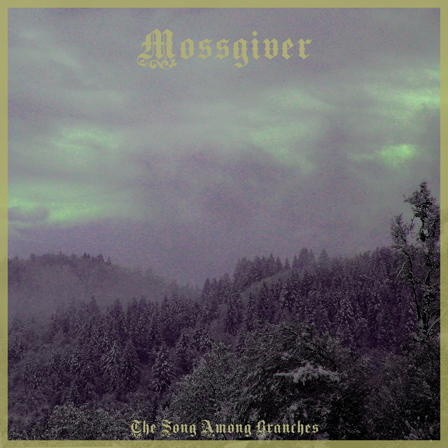 The Song Among Branches cover art