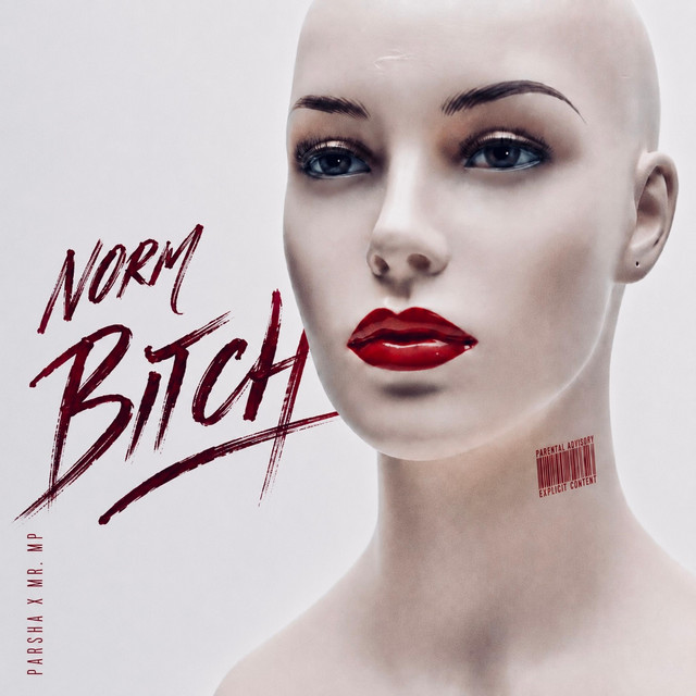 کاور آهنگ NORM BITCH