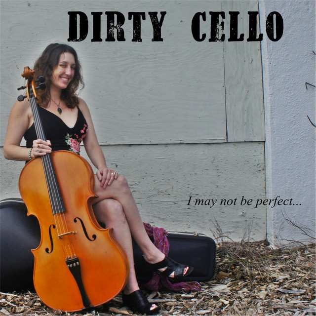 I May Not Be Perfect cover art