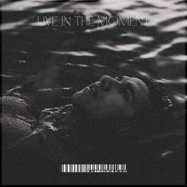 Обкладинка: Live in the moment - Live — Lesfm