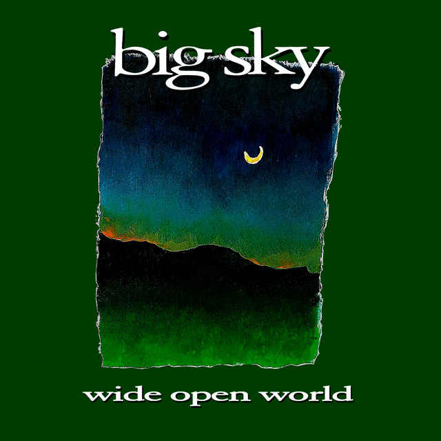 Wide Open World cover