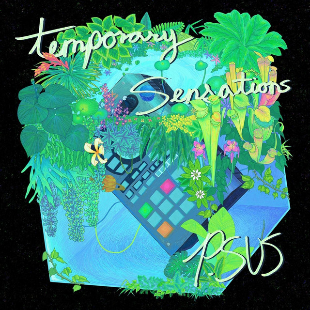 Temporary Sensations cover art