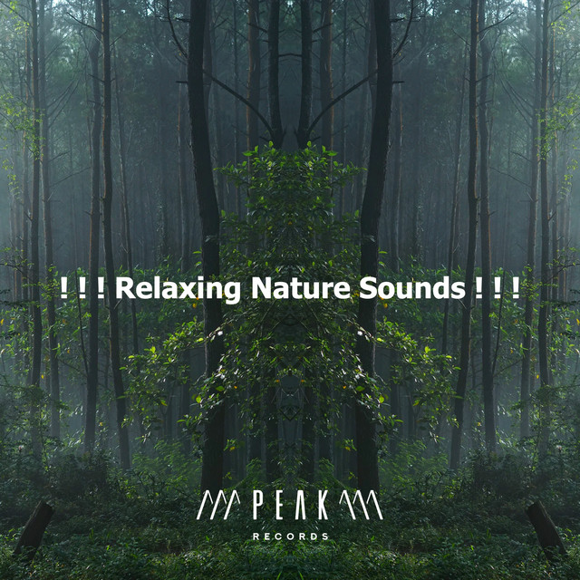 Relaxing Nature Sounds ! ! ! - Album by Forest Sounds | Spotify