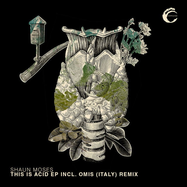 This Is Acid cover art