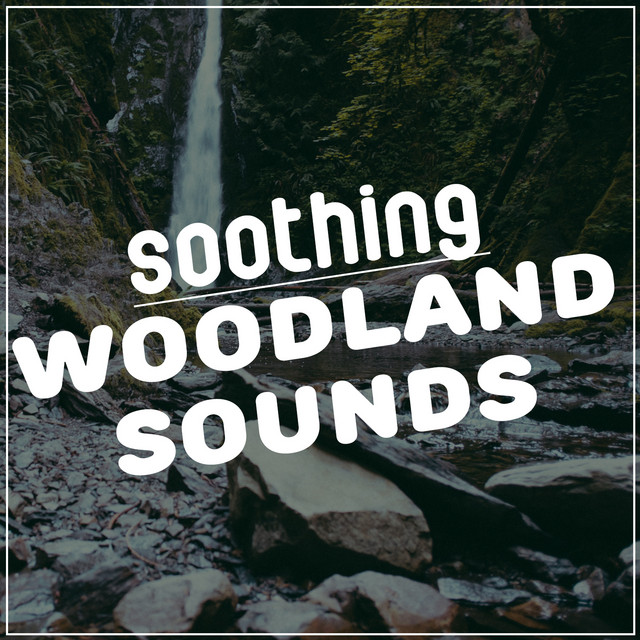 Soothing Woodland Sounds cover art