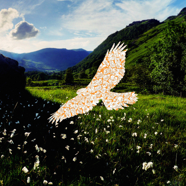 eagle cover art