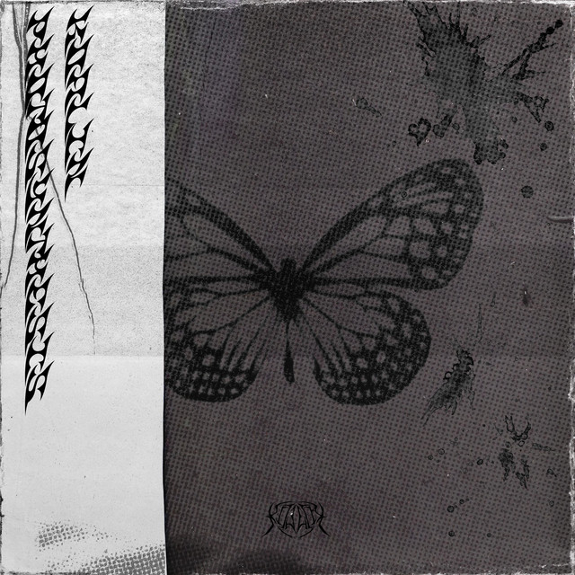 Photosynthesis cover art