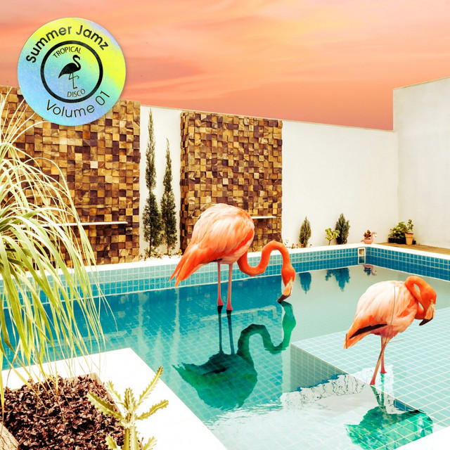 Summer Jamz Volume 1 cover