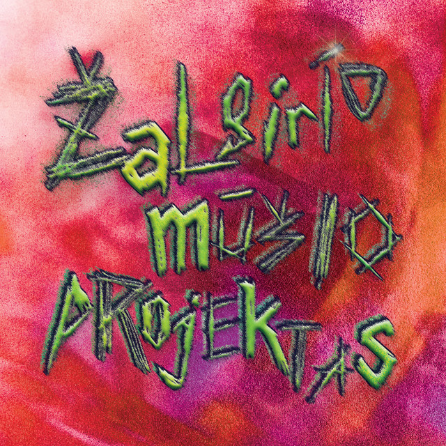 Žalgirio Mūšio Projektas cover