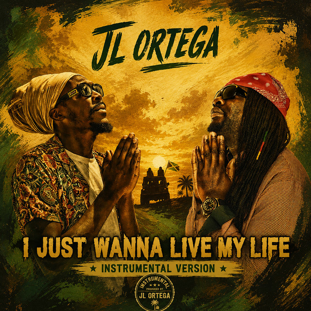 I Just Wanna Live My Life (Instrumental) cover