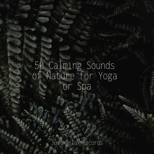 50 Calming Sounds of Nature for Yoga or Spa - Album by Spa & Spa | Spotify