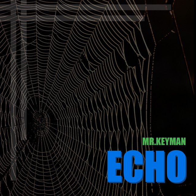 Echo - Single by mr.Keyman | Spotify
