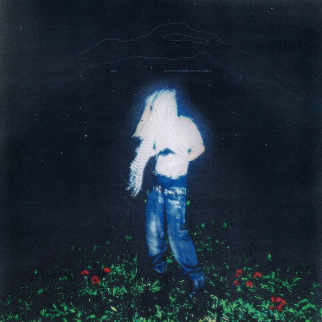 DYZZORDER cover art