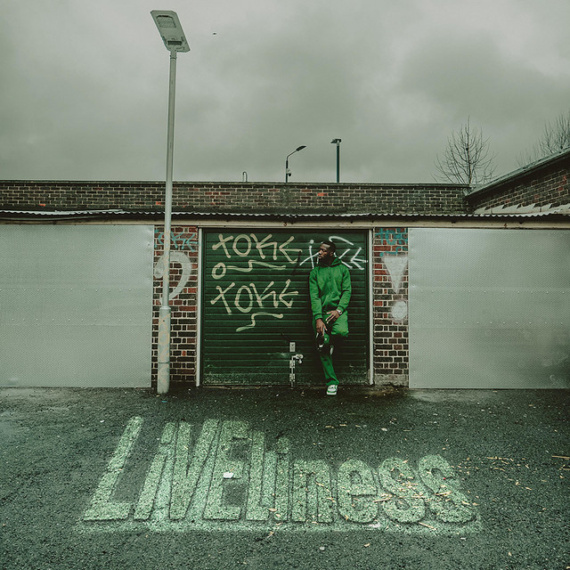 LiVEliness cover art