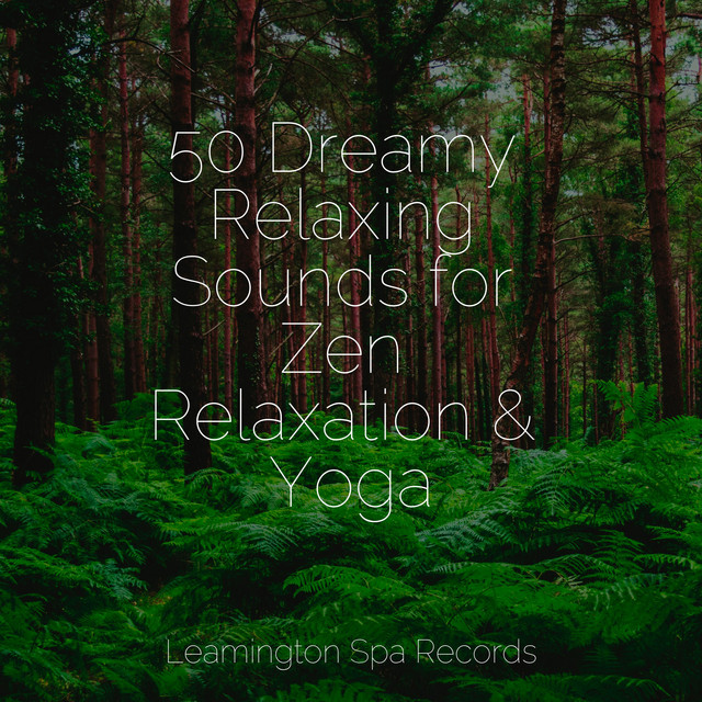50 Dreamy Relaxing Sounds for Zen Relaxation & Yoga - Album by Smart ...