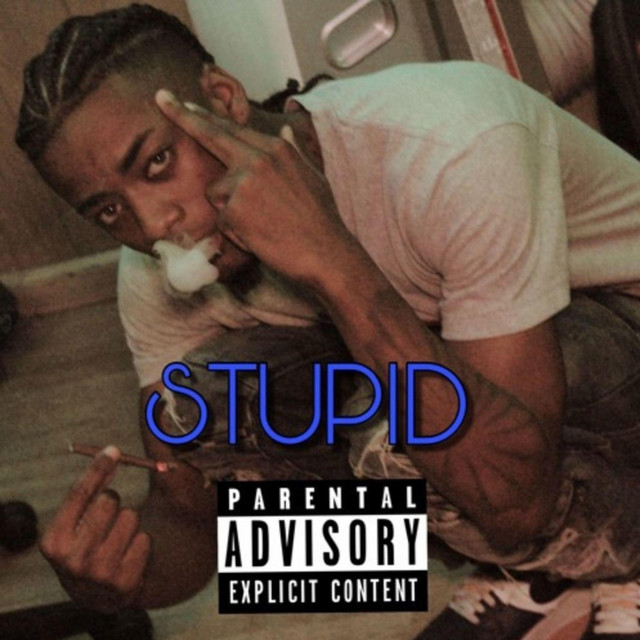 Stupid cover art