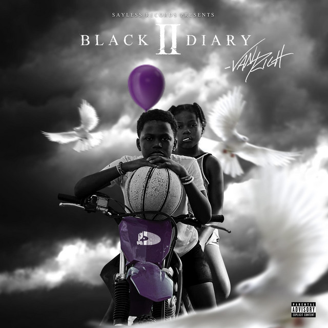 Black Diary 2 cover art