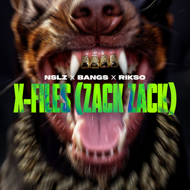 X-FILES (ZACK ZACK)