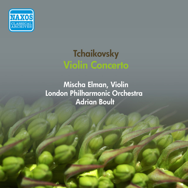 Violin Concerto in D Major, Op. 35, TH 59: II. Canzonetta. Andante - III. Finale. Allegro vivacissimo cover art