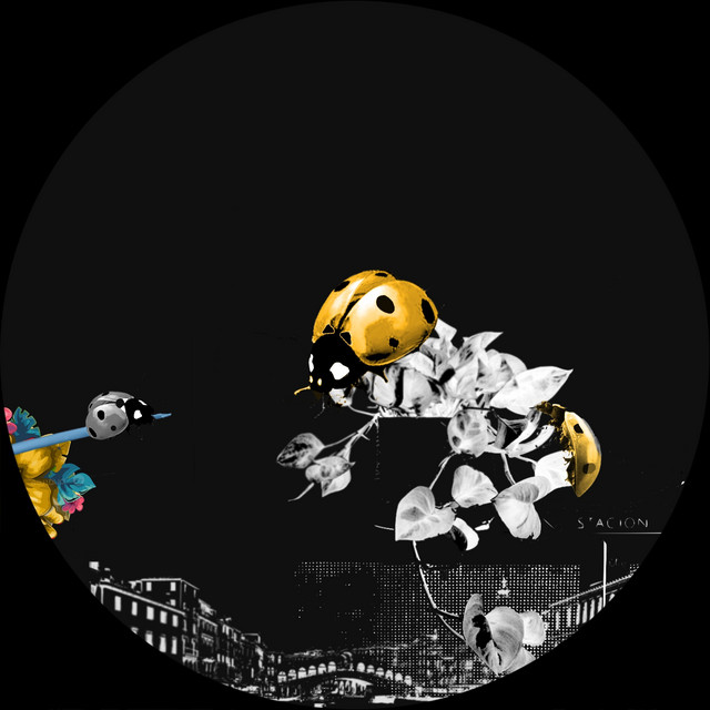 Coccinelle album art